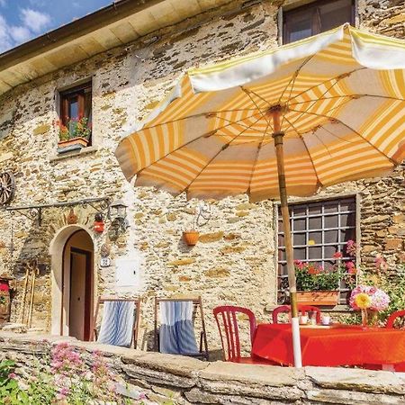 Casa Poggio Delle Farfalle Stazzema Экстерьер фото